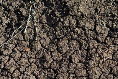 Suspended Foundation or Full Excavation? How to Build Safely on Black Cotton Soil in Kenya