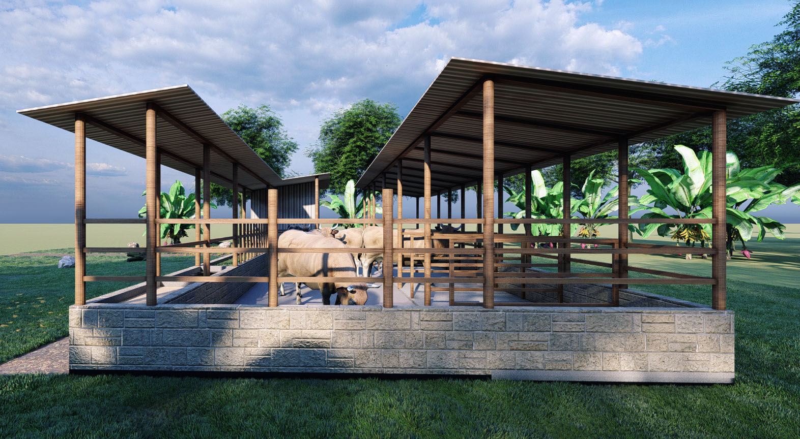 Cow Shed