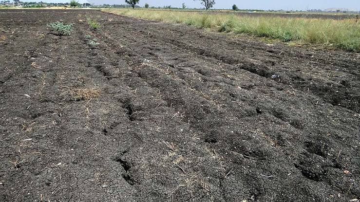How to Build a House on Black Cotton Soil in Kenya